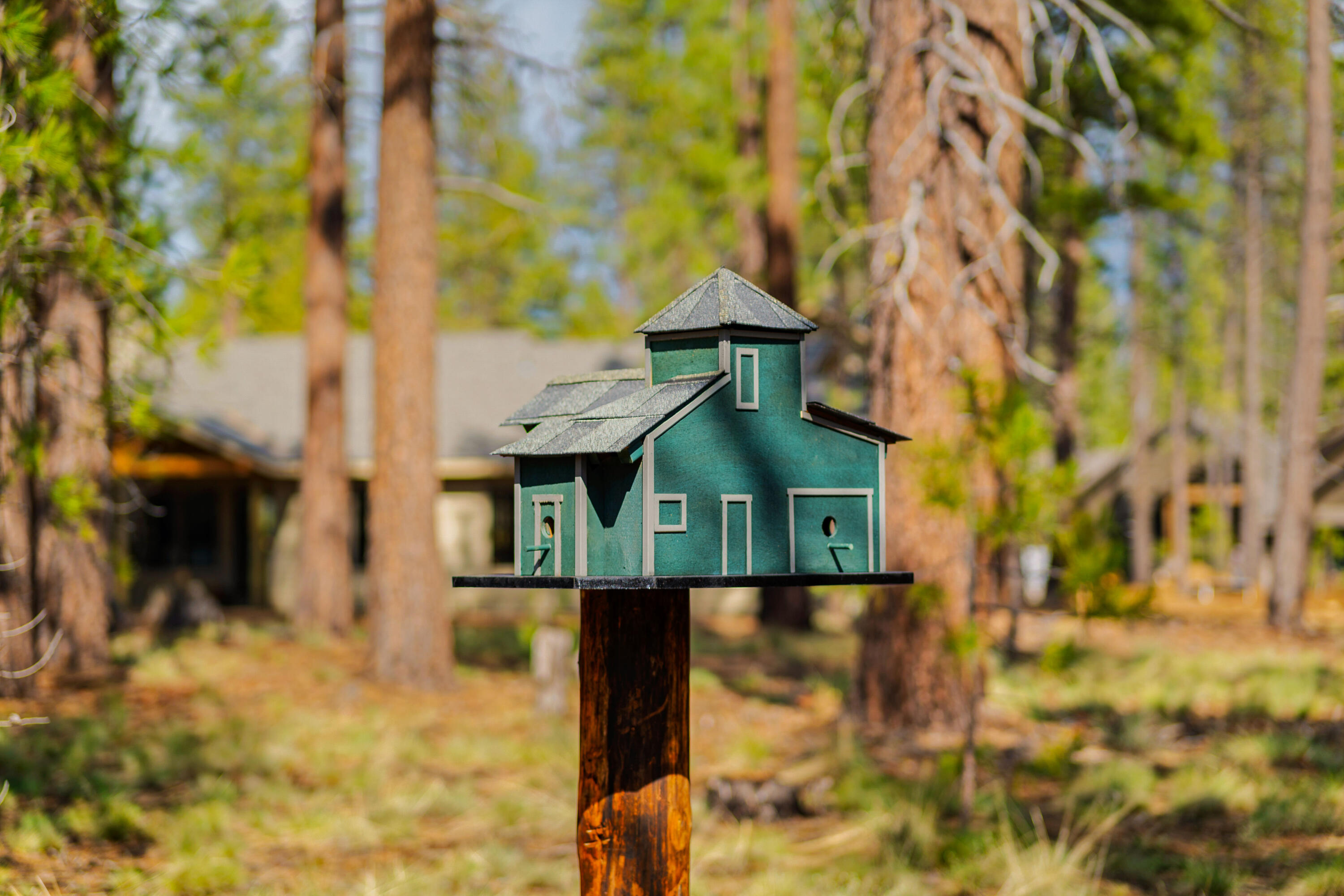 17772 Preservation Loop, Unit 485 Bend, OR 97707 - Photo 6 of 31 Park's Birdhouse Forest