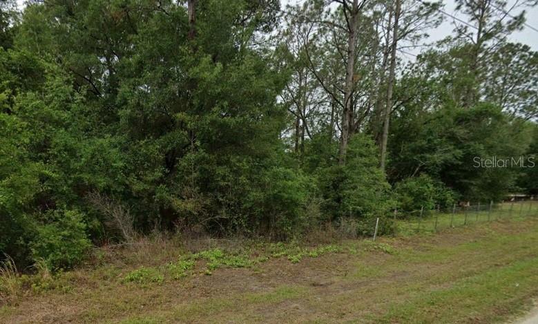 9284 West Dunnellon Road Crystal River, FL 34428 - Photo 2 of 3