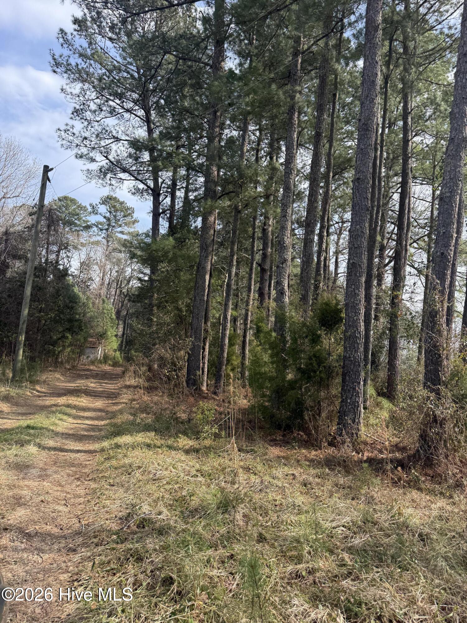 269 Creek Road Bath, NC 27808 - Photo 15 of 18