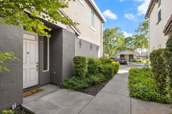 a view of a back yard with flower plants