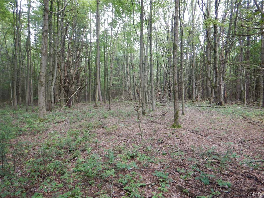 Bull Hill Road Newfield, NY 14867 - Photo 36 of 36