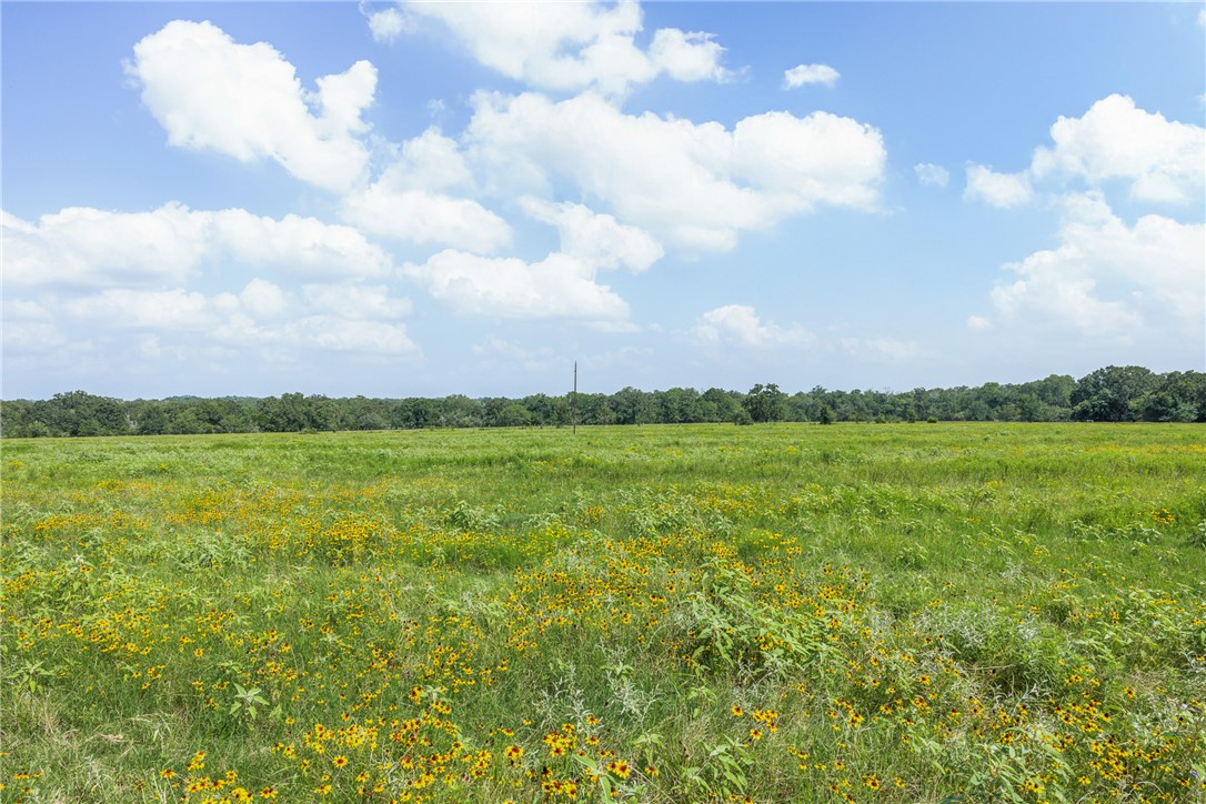 0 Hopes Creek Road College Station, TX 77845 - Photo 9 of 24