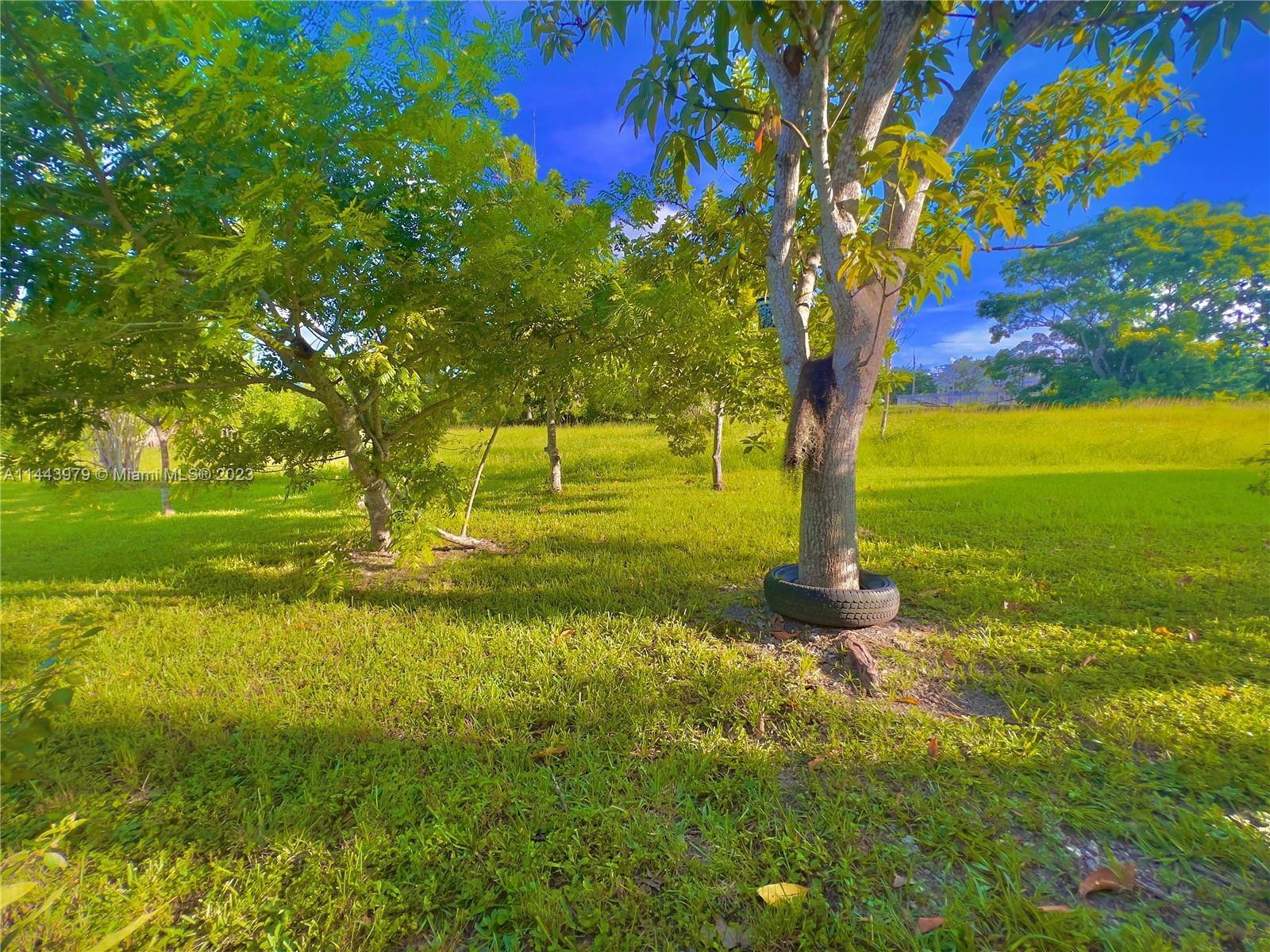 11370 Southwest 118th Street Miami, FL 33176 - Photo 22 of 26 a view of an ocean with a yard