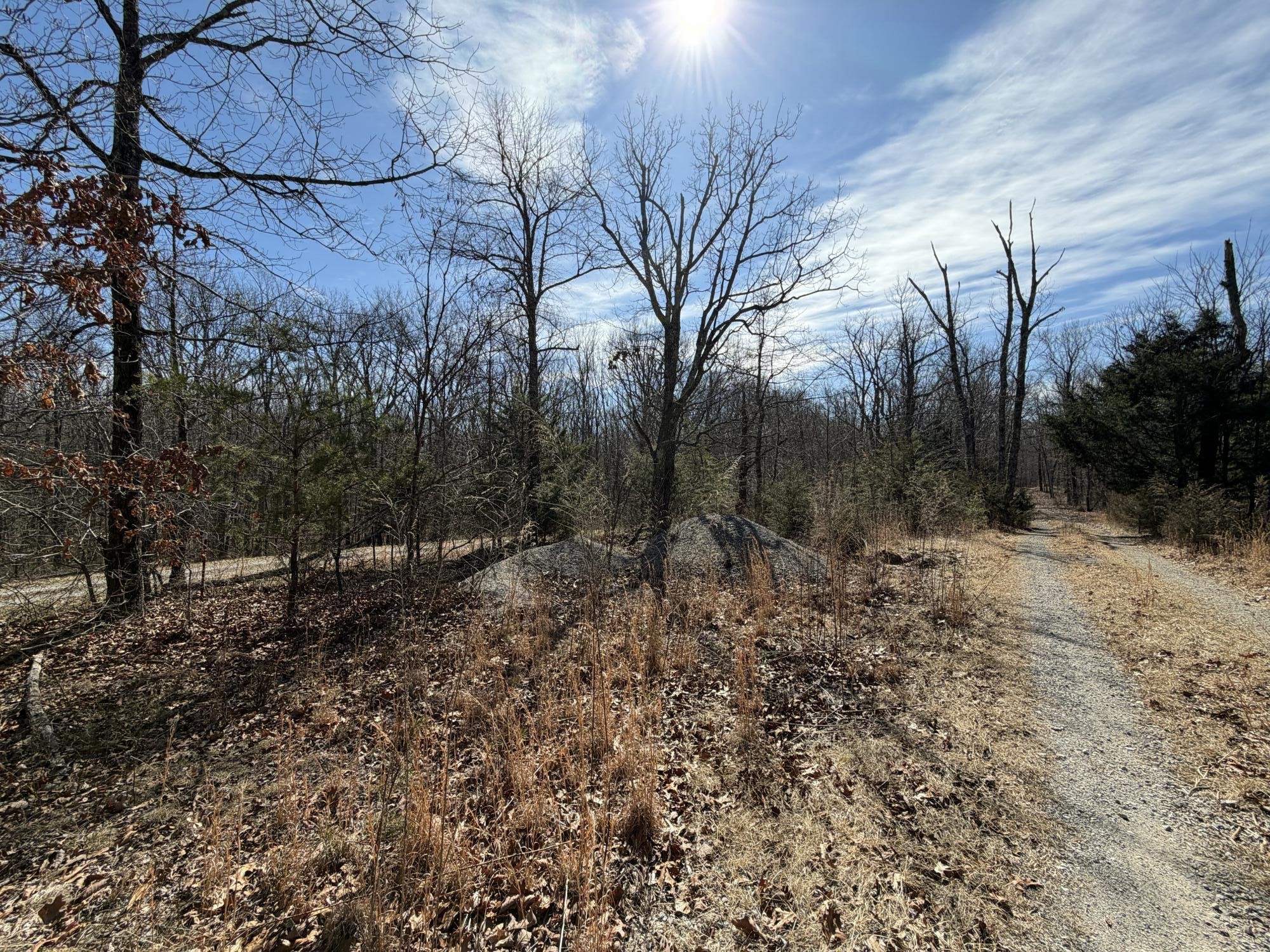 4872 Deer Run Road Pelham, TN 37366 - Photo 4 of 38 a view of a dry yard with trees