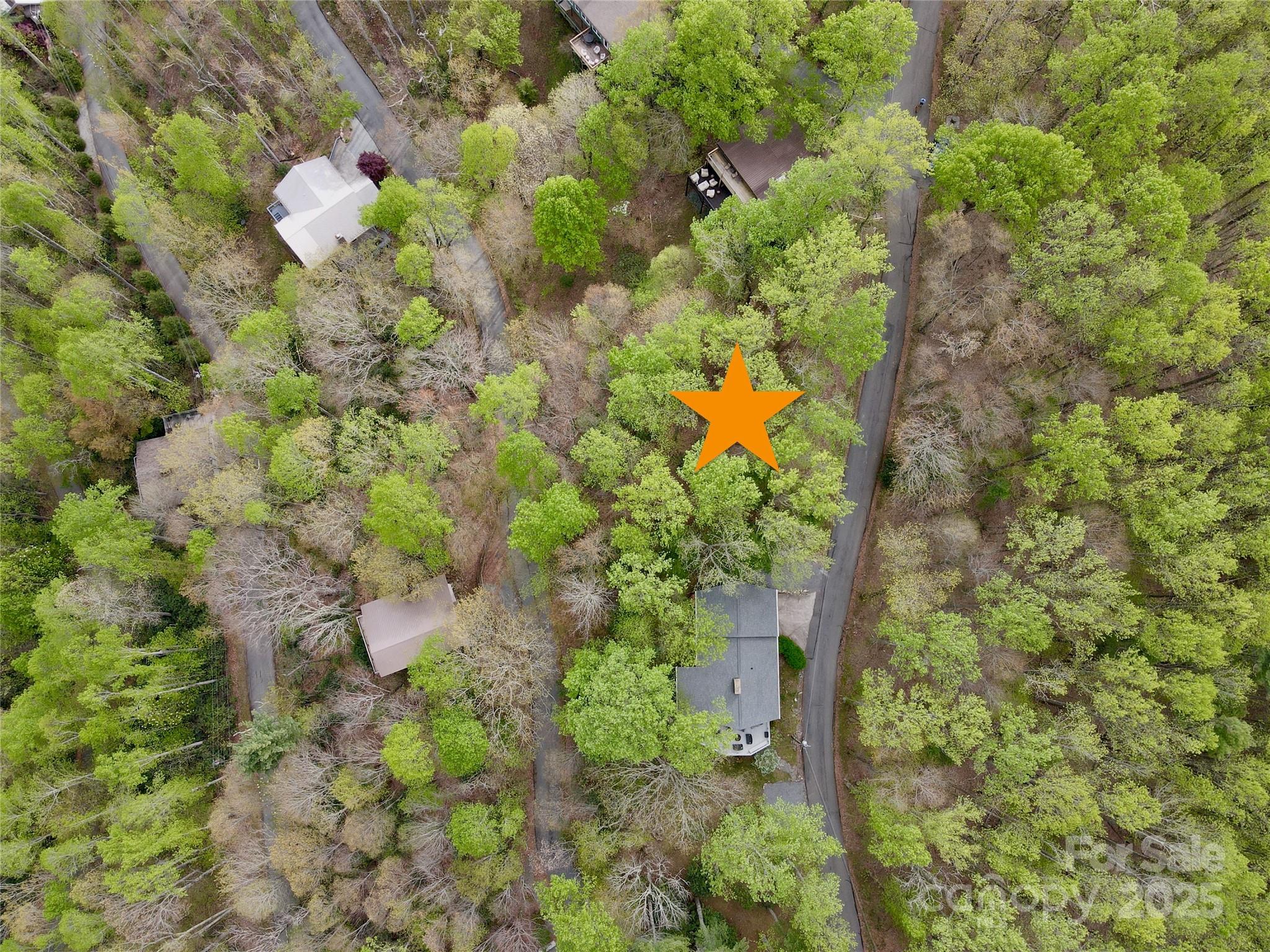 Tbd Indian Trail Boone, NC 28607 - Photo 3 of 22 Gallery Image 3
