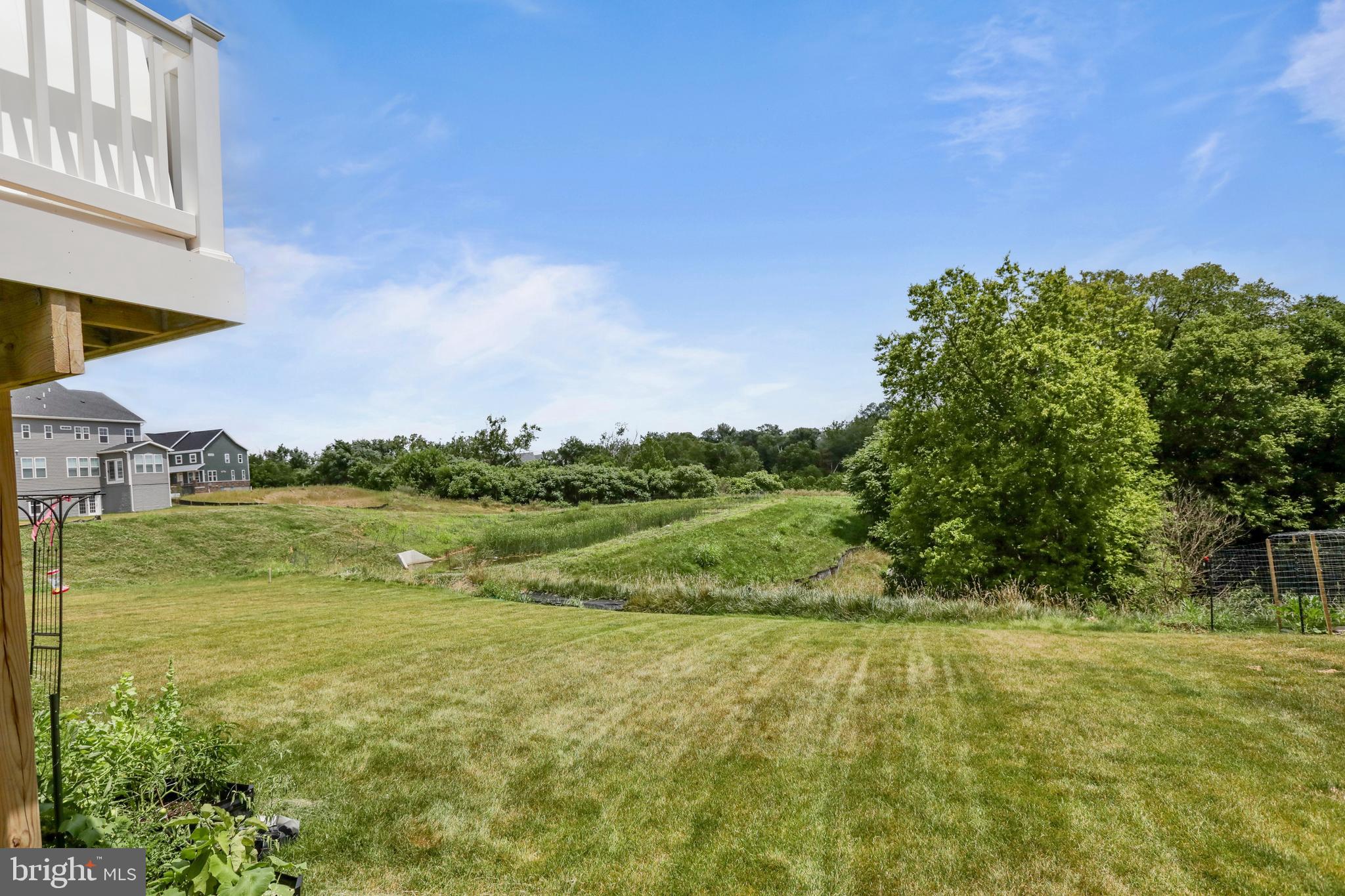 1011 Monocacy Crossing Parkway Brunswick, MD 21716 - Photo 34 of 43 a view of a garden