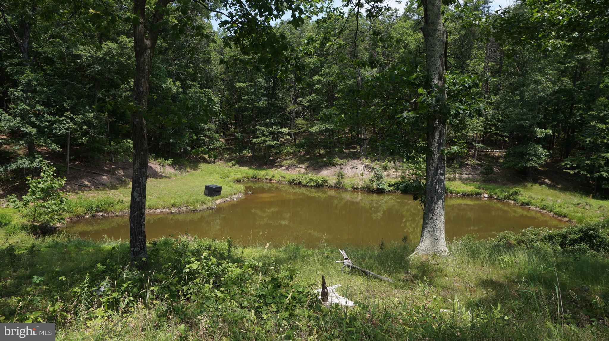 1612 Ungers Store Road Berkeley Springs, WV 25411 - Photo 4 of 30 Pond
