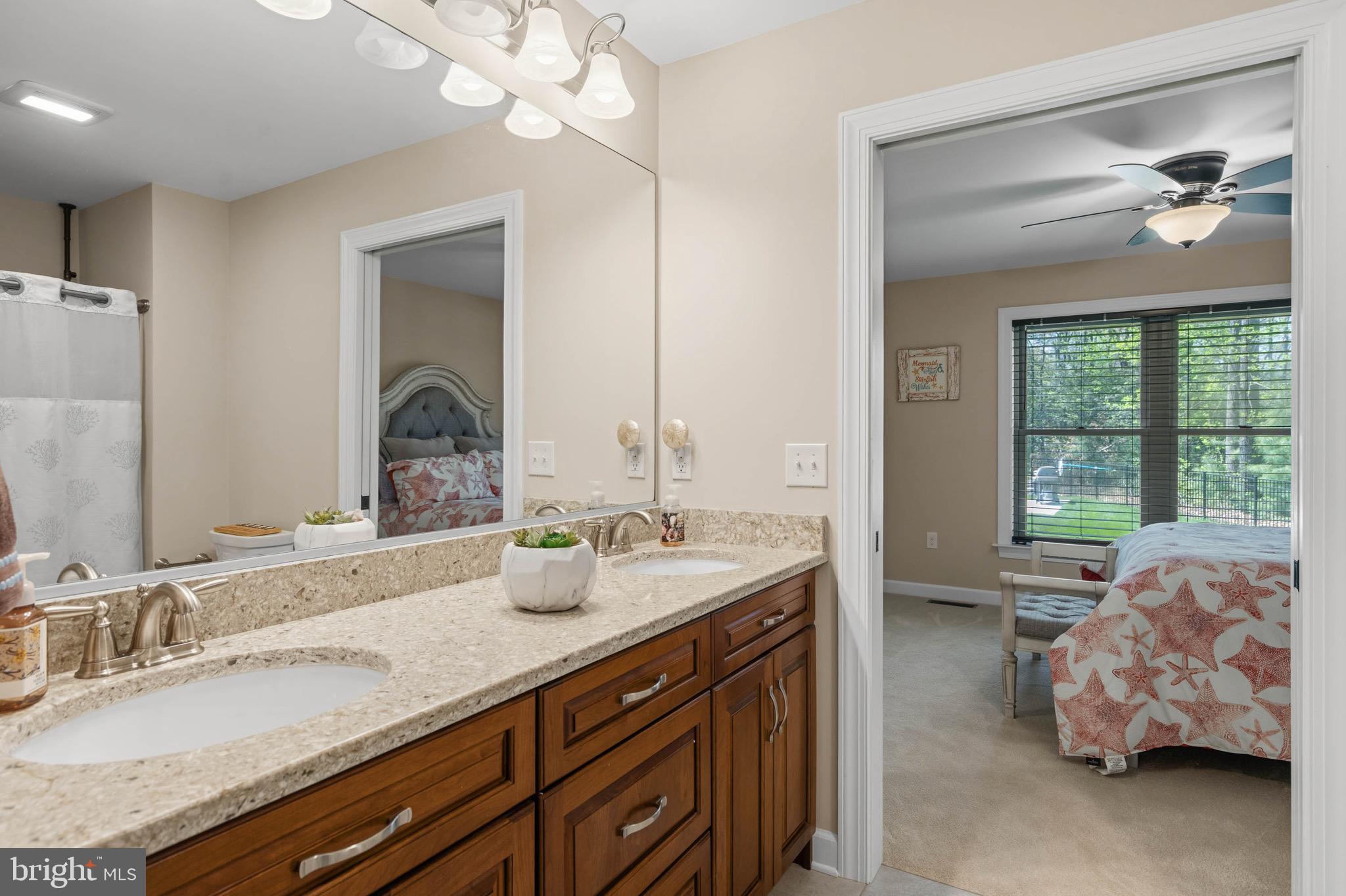 26750 Deep Branch Road Milton, DE 19968 - Photo 80 of 96 a en suite bathroom with a granite countertop sink a large mirror and a bathtub