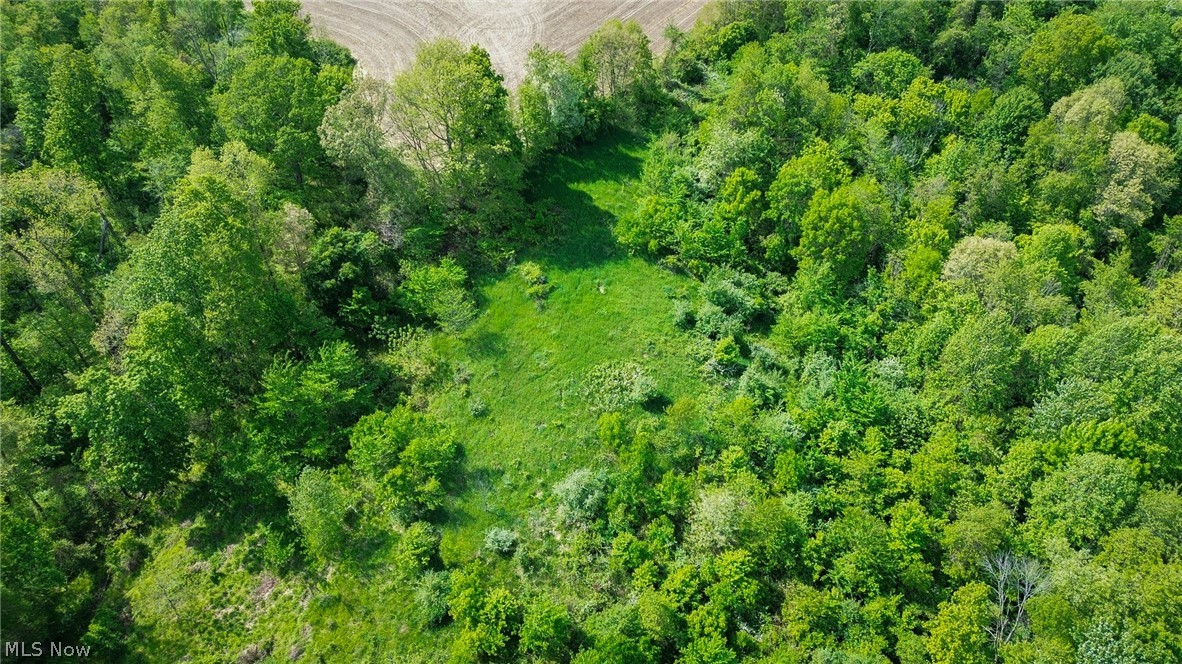 Degen Road Southwest Stone Creek, OH 43840 - Photo 15 of 19
