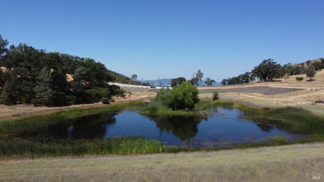 a view of a swimming pool with a yard