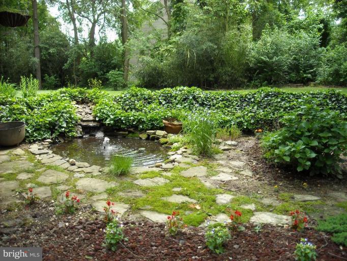 11505 Emack Road Beltsville, MD 20705 - Photo 2 of 17 Back yard