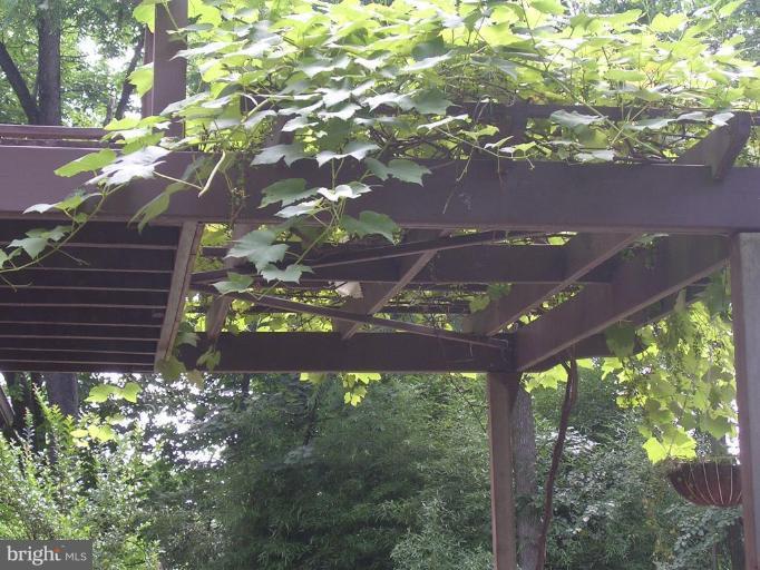 11505 Emack Road Beltsville, MD 20705 - Photo 14 of 17 Grape Arbor