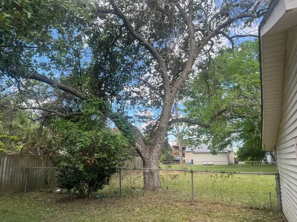 a house with a tree in front of it