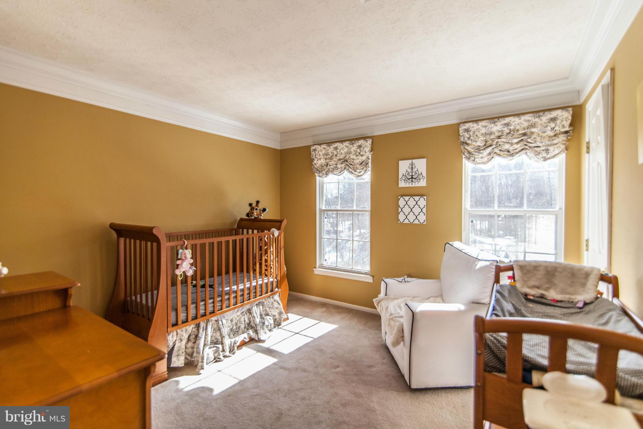 10810 Meadowlea Road Owings Mills, MD 21117 - Photo 21 of 30 Bedroom