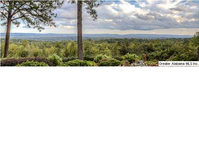 4601 Dolly Ridge Road Birmingham, AL 35243 - Photo 27 of 27