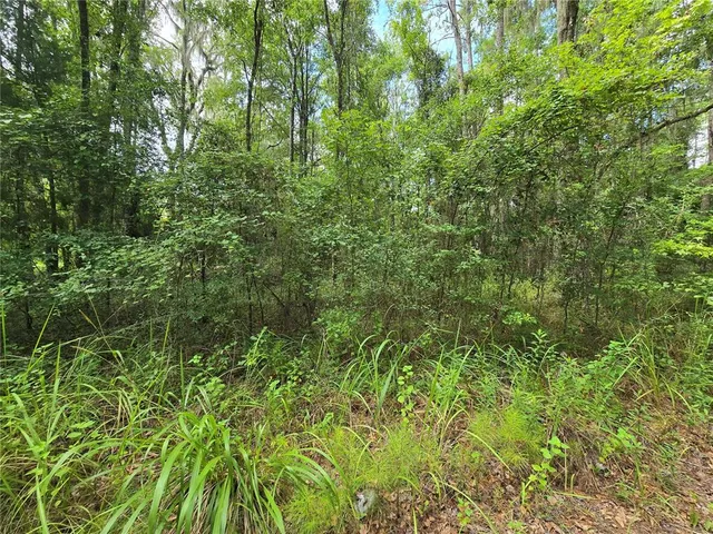 $99,000 | 329 N Highway, Micanopy, FL 32667