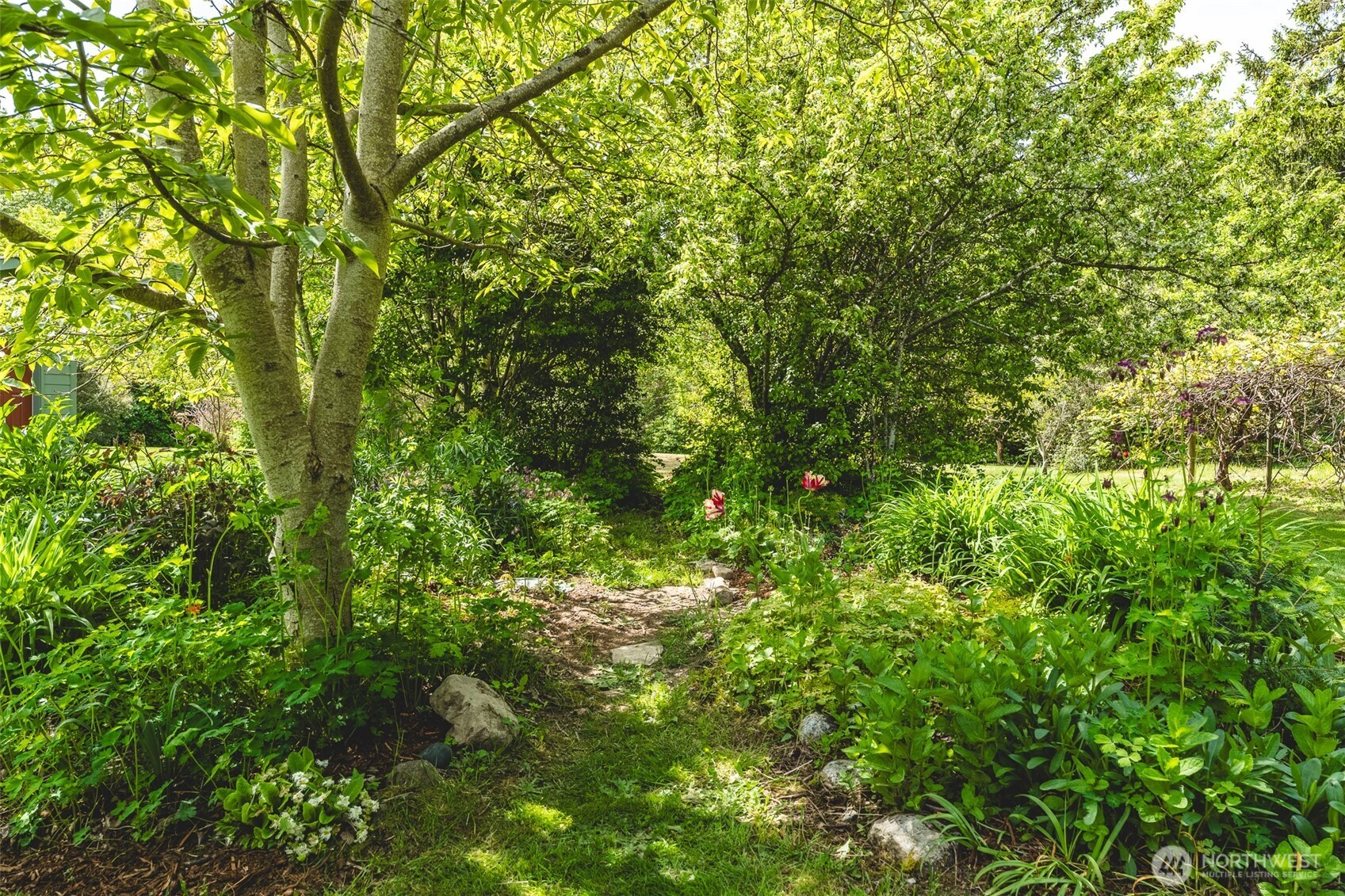 3994 Hoff Road Bellingham, WA 98225 - Photo 31 of 40 a view of a lush green forest