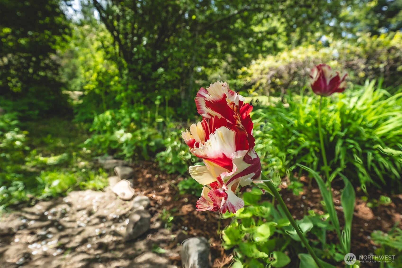 3994 Hoff Road Bellingham, WA 98225 - Photo 32 of 40 a view of a flower