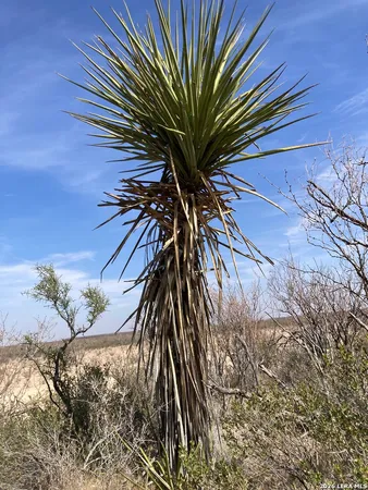 $480,000 | 640 Acres /- Owego Road, Girvin, TX 79740