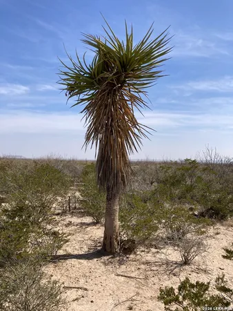 $480,000 | 640 Acres /- Owego Road, Girvin, TX 79740