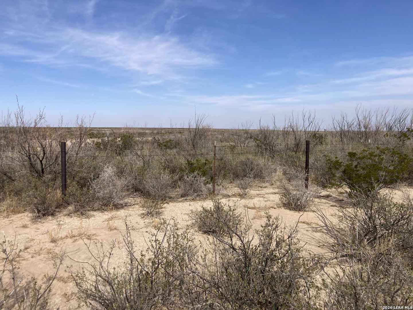 640 Acres /- Owego Road Girvin, TX 79740 - Photo 14 of 14 a view of a yard with trees