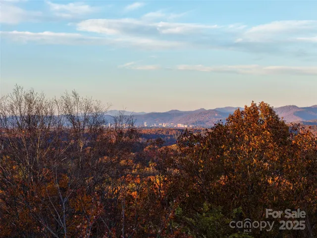 a view of a yard with mountains in the background