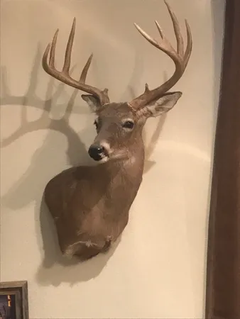 a close view of a sink