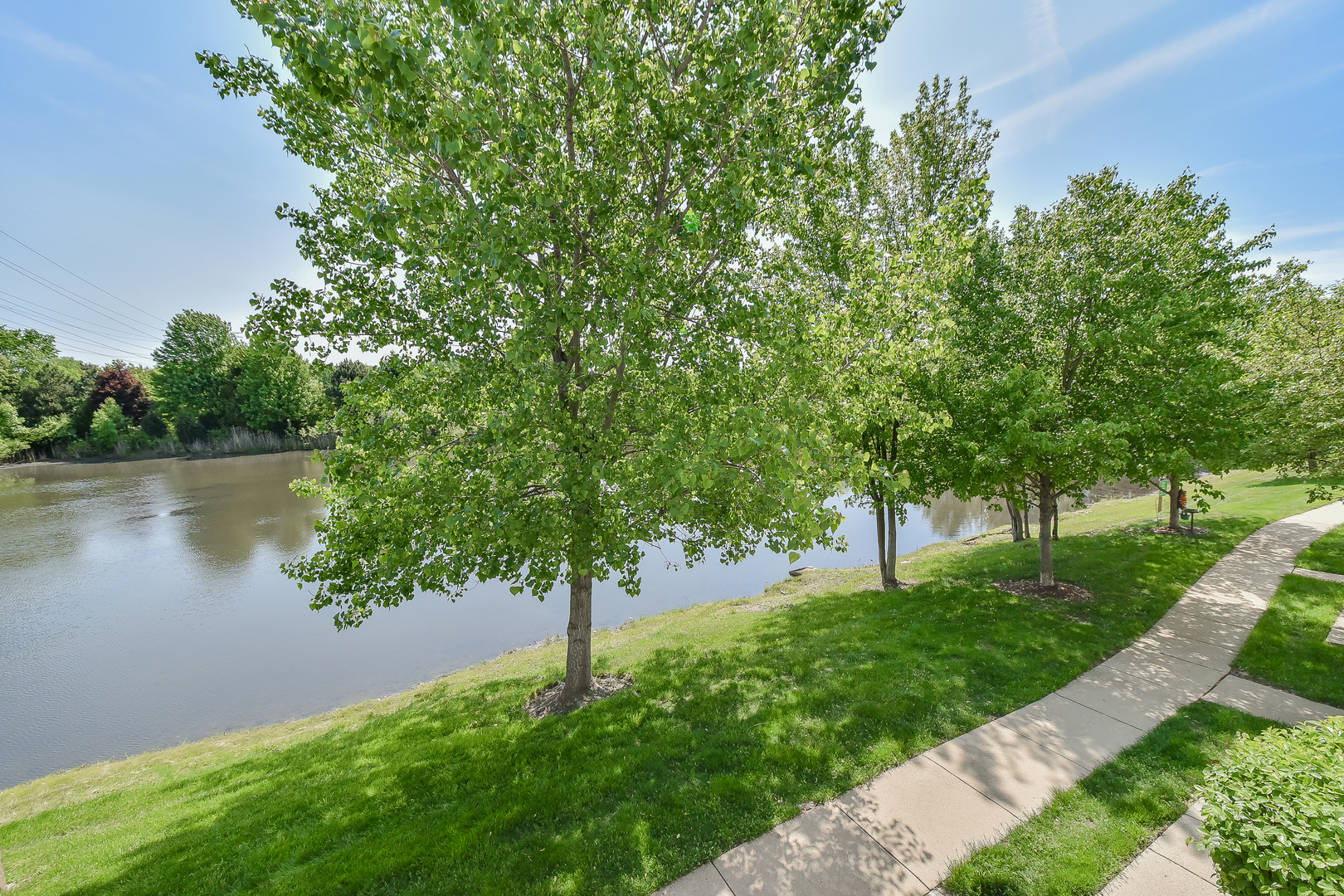 1556 McClure Road, Unit 1556 Aurora, IL 60505 - Photo 15 of 17 a view of a lake with a garden and trees