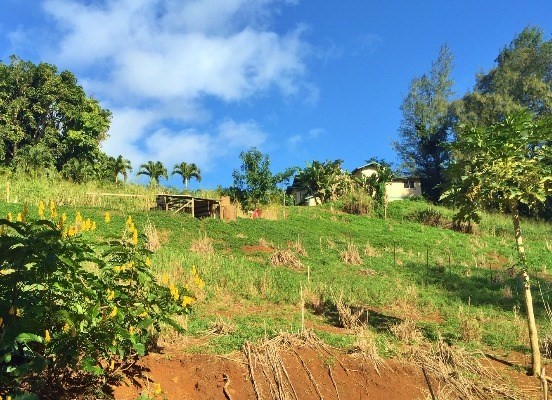 3815 Omao Road, Unit 3 Koloa, HI 96756 - Photo 5 of 12 Gallery Image 5