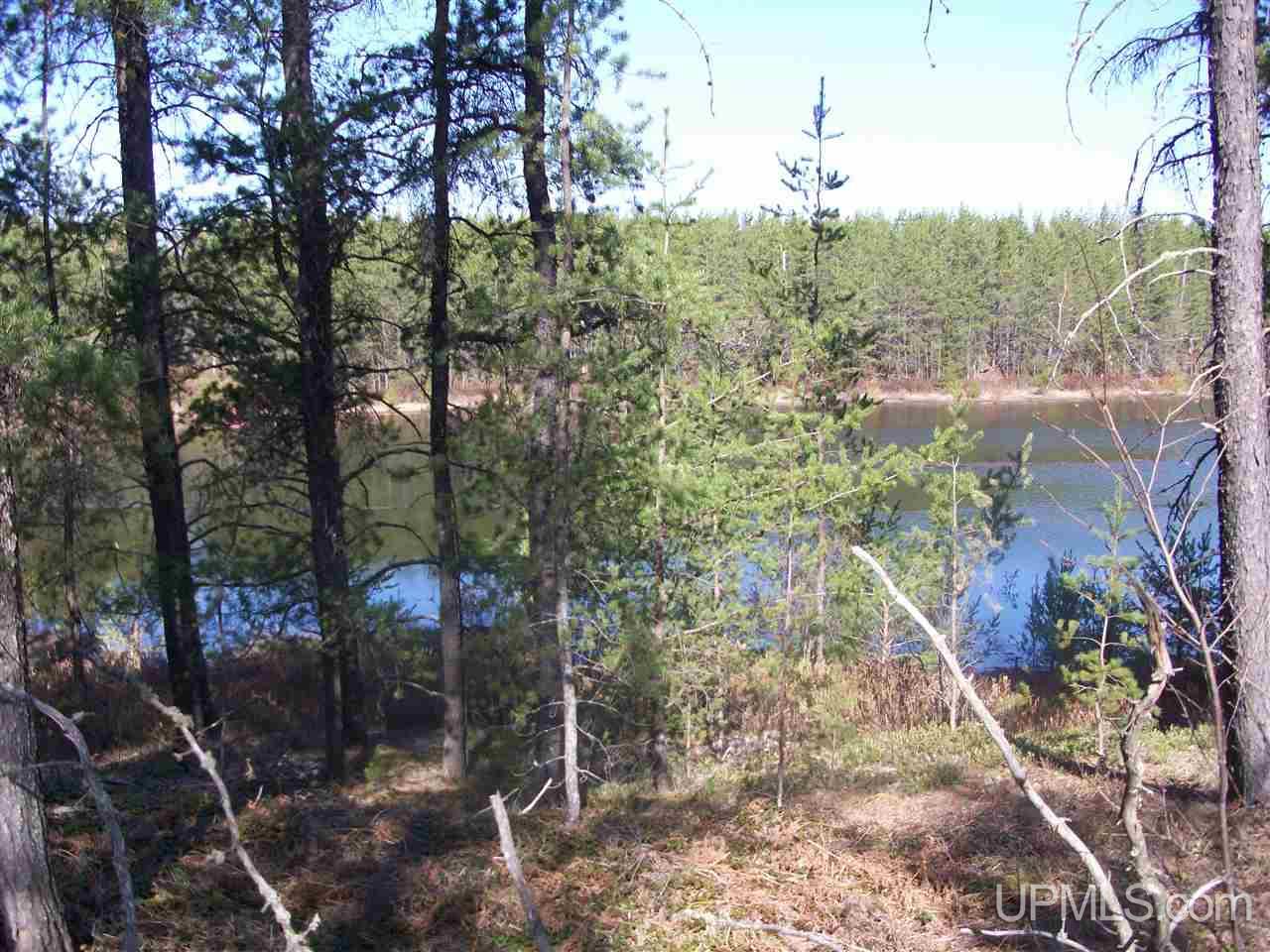 Tbd Off Eg Road Gwinn, MI 49841 - Photo 4 of 11