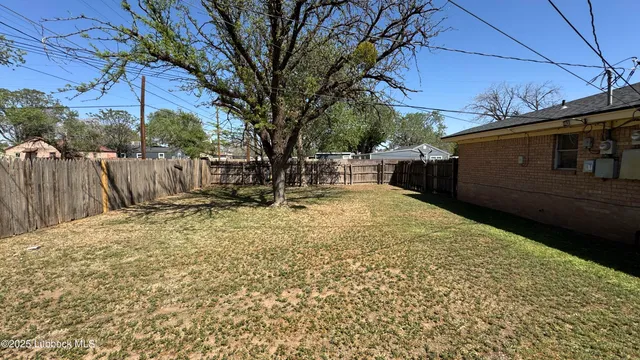 a view of a backyard with a tree