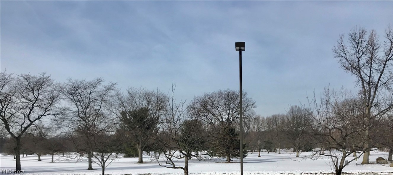 29844 Center Ridge Road, Unit 203 Westlake, OH 44145 - Photo 25 of 25 Beautiful views of Meadowood golf course