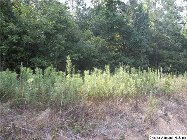 0 Mudd Street, Unit 4 48 AC Ohatchee, AL 36271 - Photo 10 of 12