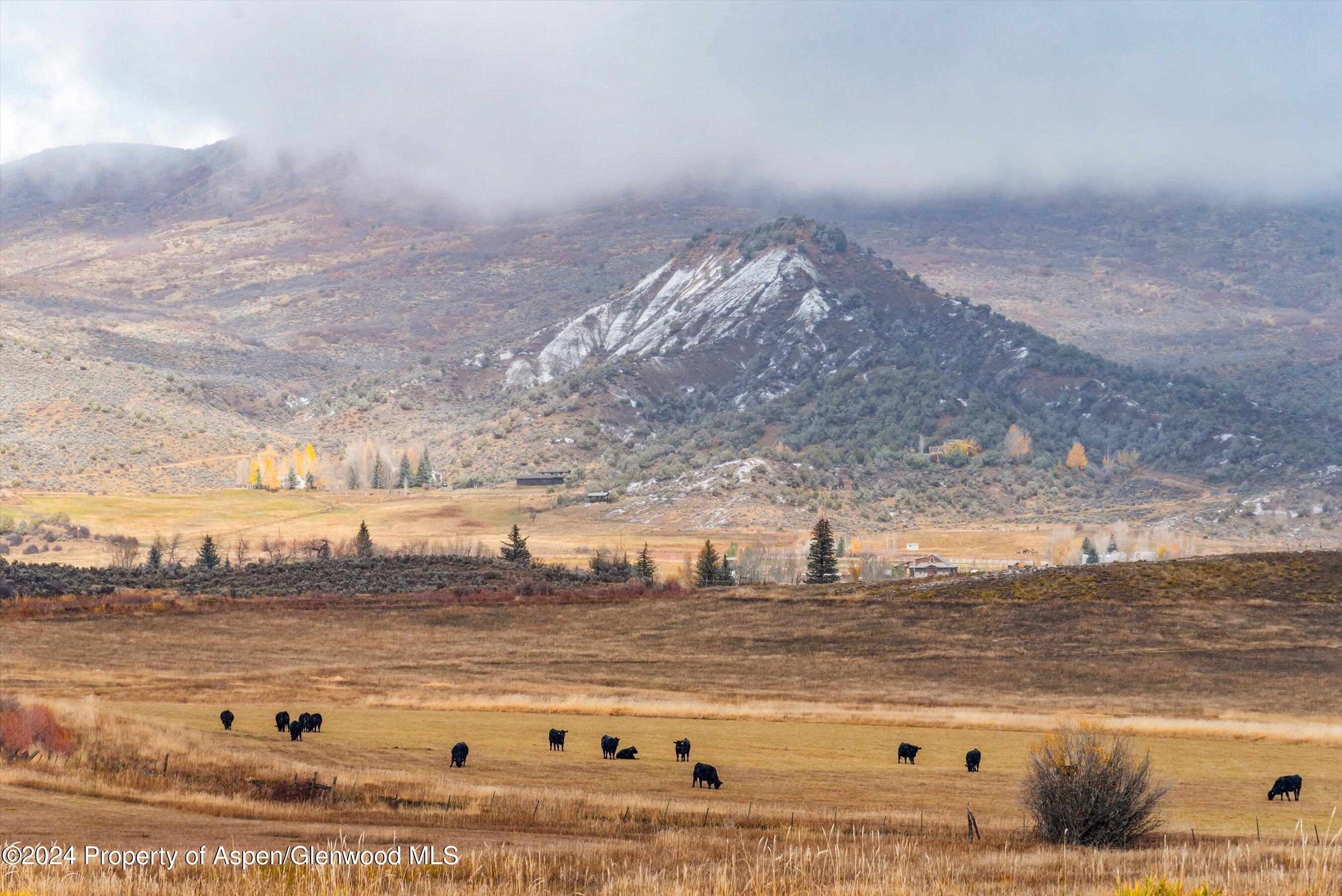 2388 Lazy O Road Snowmass, CO 81654 - Photo 63 of 65 094-2388LazyO_241030004-2