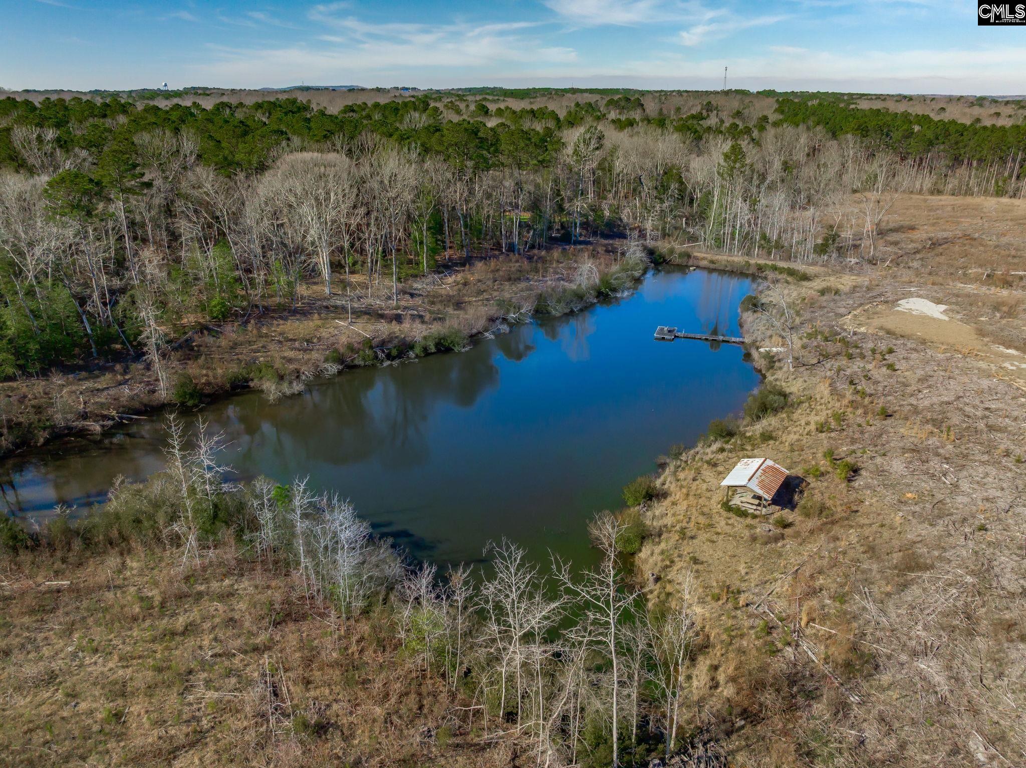 501 Crooked Creek Road Chapin, SC 29036 - Photo 15 of 28