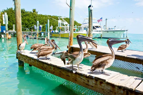 $3,900 | 164 Ocean Bay Drive, Unit 3C, Key Largo, FL 33037