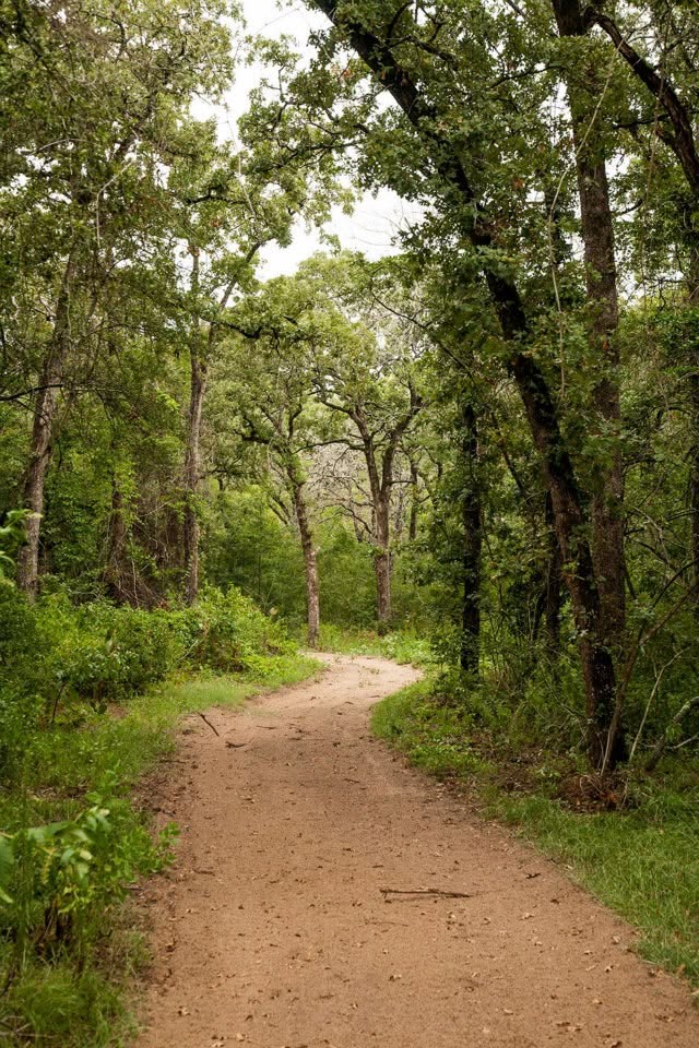 4342 Dobrovolny Road Bryan, TX 77807 - Photo 22 of 24 Trail that would need to be restored