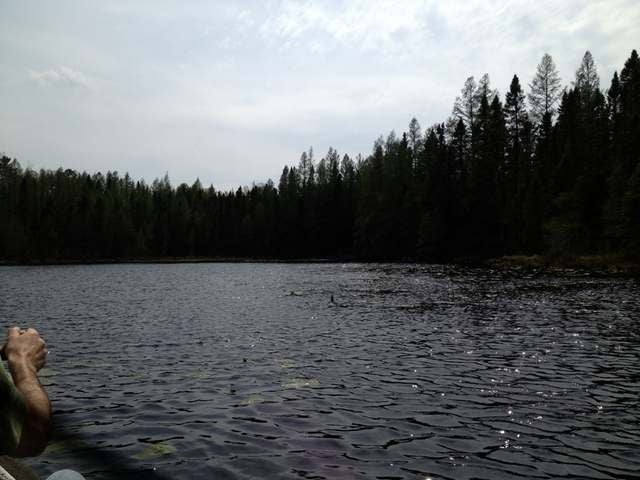 40-acres Hilts Lake Road Rhinelander, WI 54501 - Photo 14 of 18 Gallery Image 14