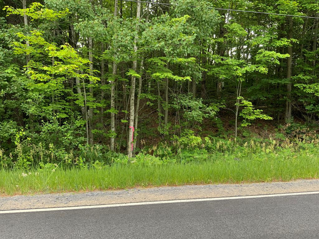 0 Ore Bed Road Schuyler Falls, NY 12985 - Photo 5 of 6 Photo 5