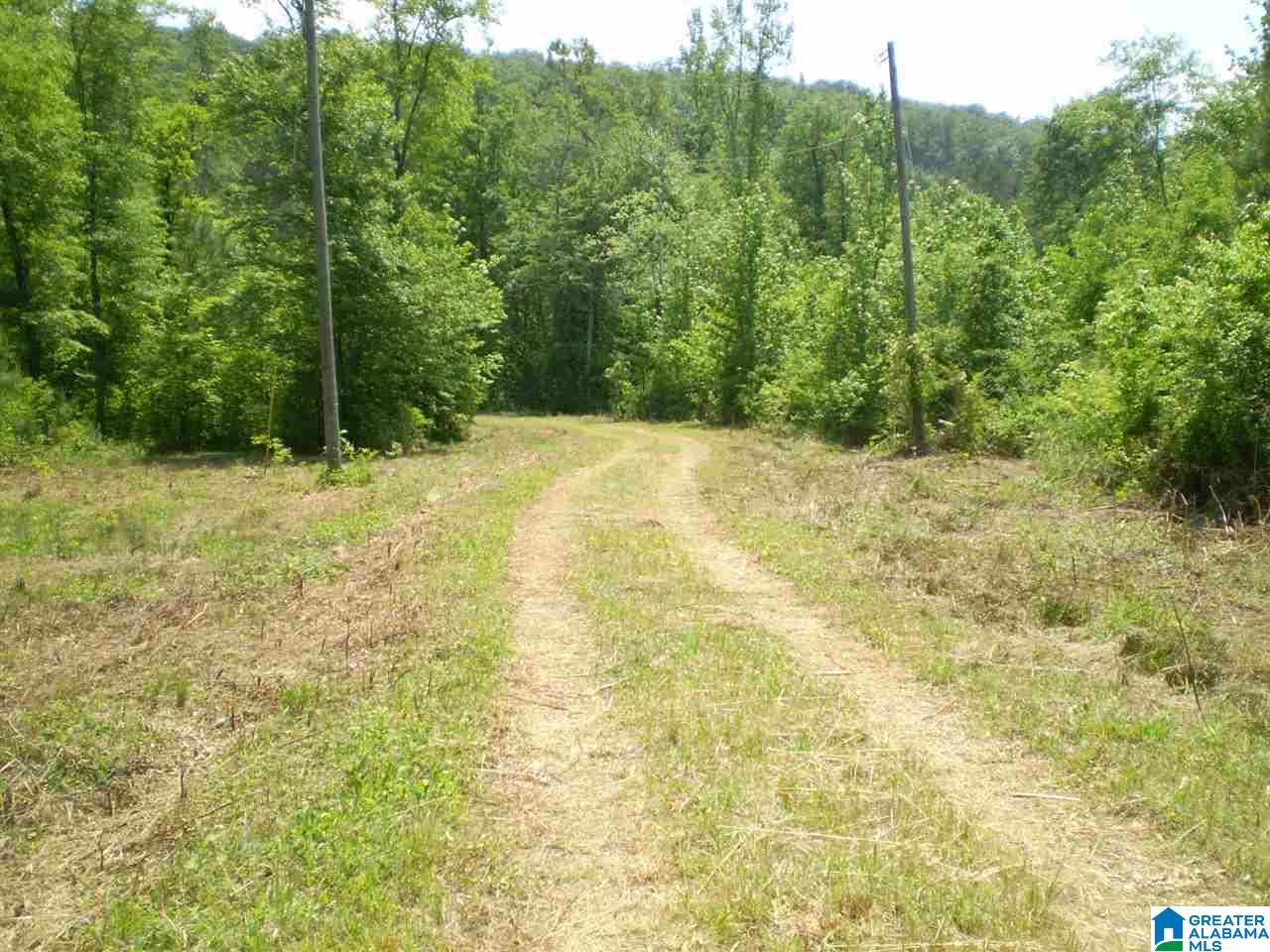 298 Waldrop Road, Unit TR 12 Ashville, AL 35953 - Photo 5 of 29