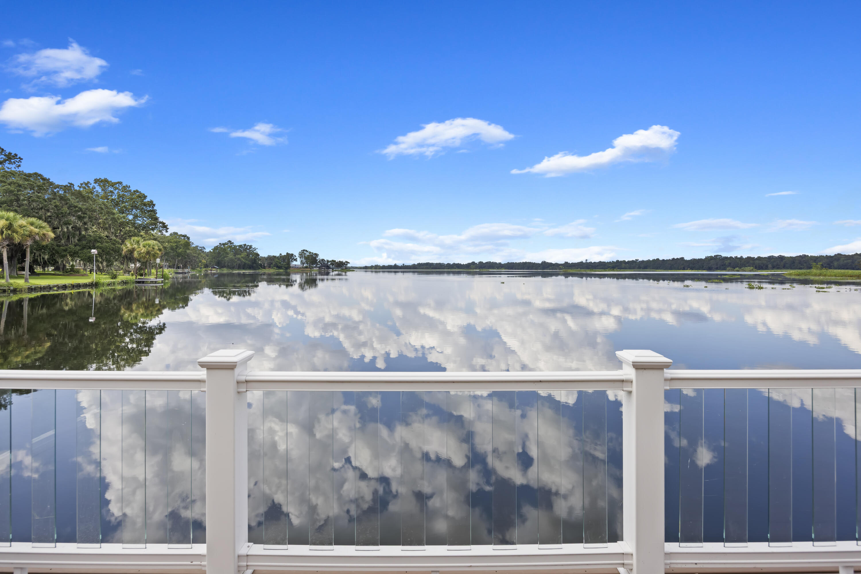 1305 State Rd S-8-397 Moncks Corner, SC 29461 - Photo 60 of 75 243A0209