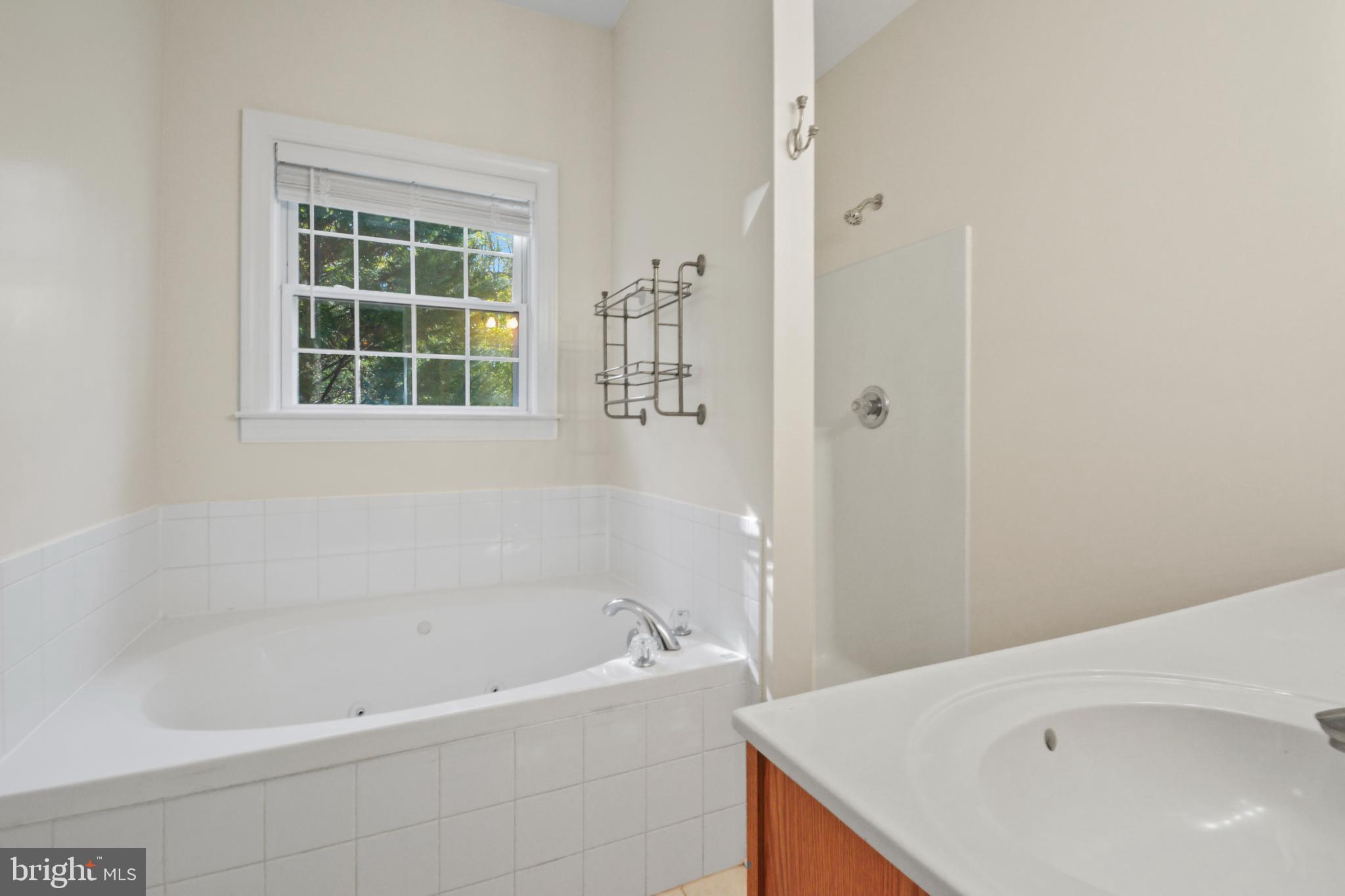 3290 Belle Meade Road Bumpass, VA 23024 - Photo 17 of 22 Primary Bathroom