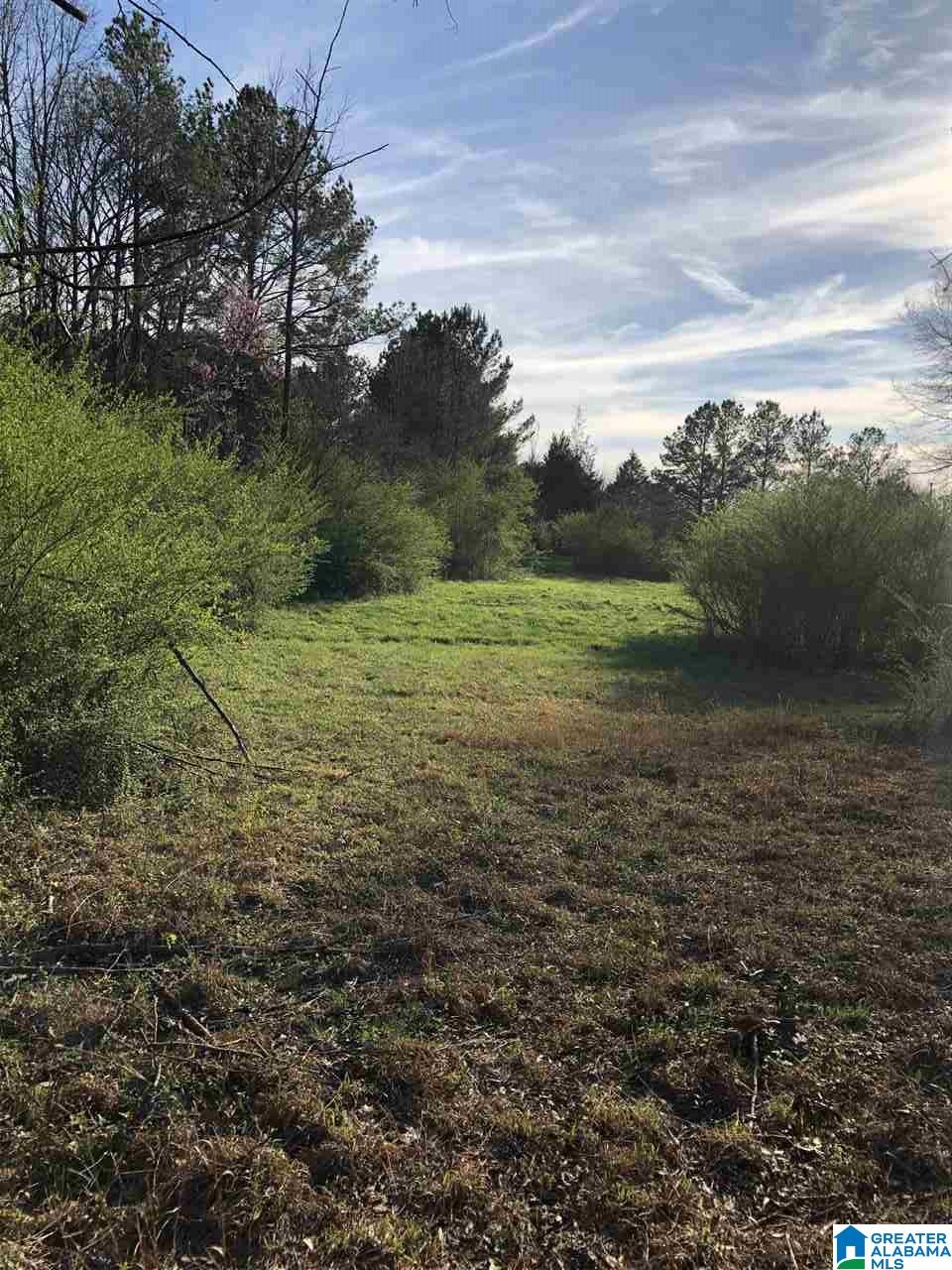1000 Mulberry Hills Road Hayden, AL 35079 - Photo 6 of 12