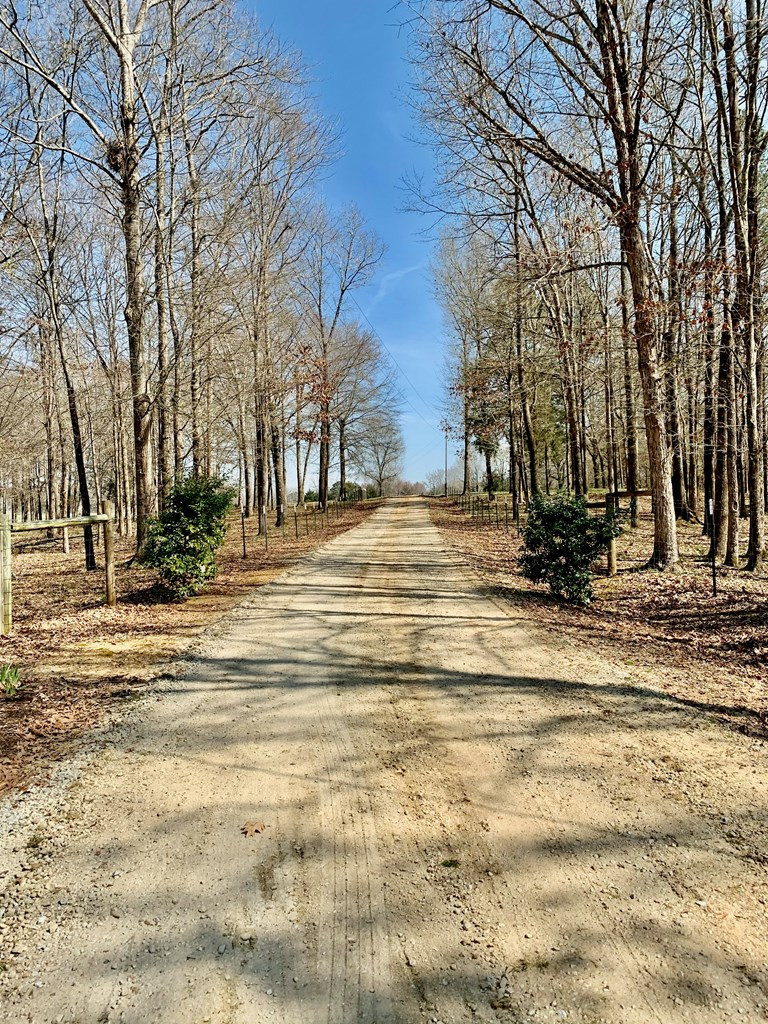 157 Wright Road Tignall, GA 30668 - Photo 13 of 54