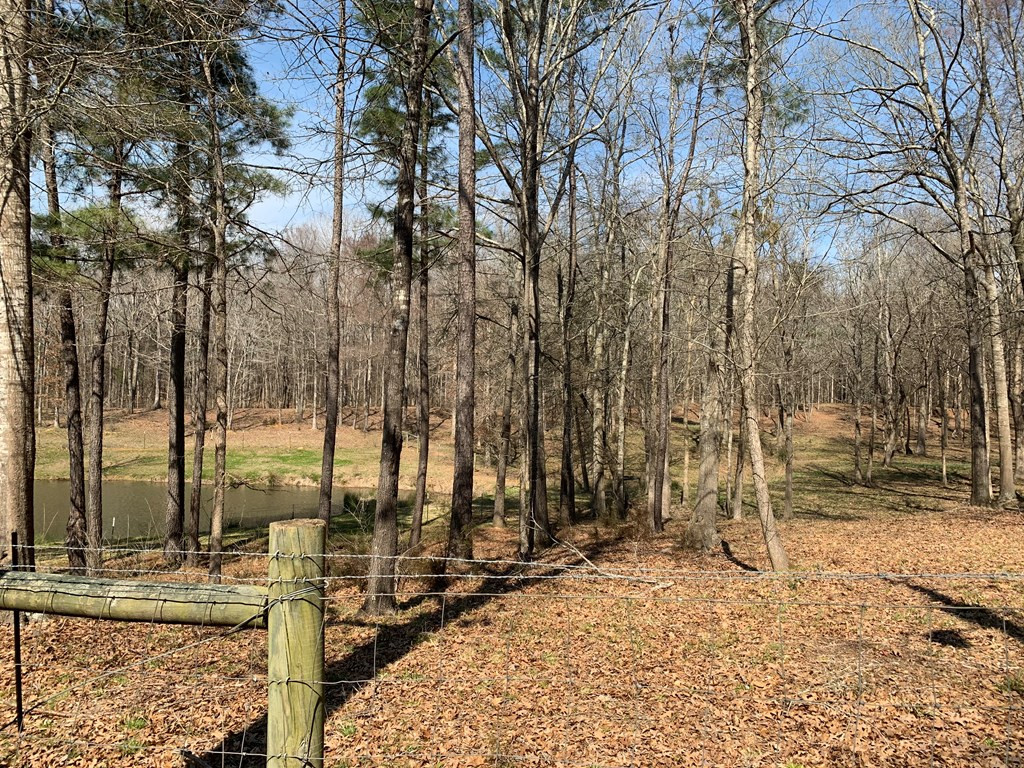 157 Wright Road Tignall, GA 30668 - Photo 17 of 54
