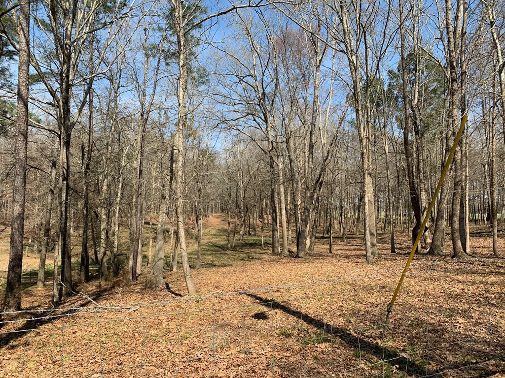 157 Wright Road Tignall, GA 30668 - Photo 18 of 54