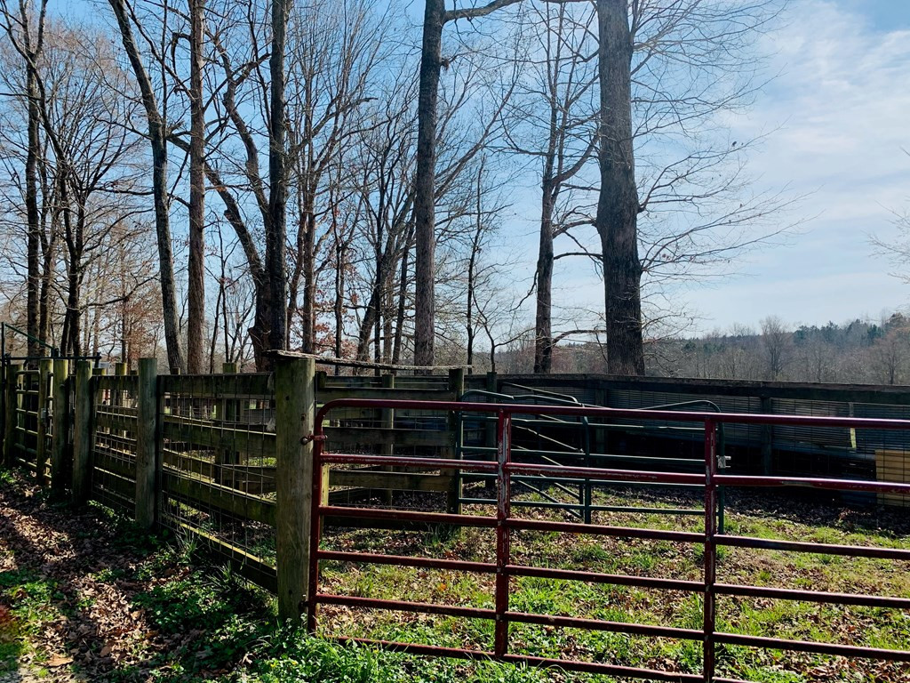 157 Wright Road Tignall, GA 30668 - Photo 19 of 54