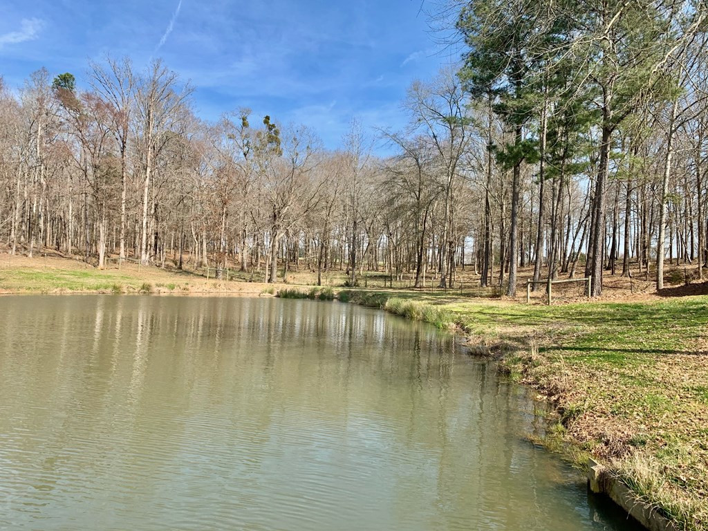 157 Wright Road Tignall, GA 30668 - Photo 24 of 54
