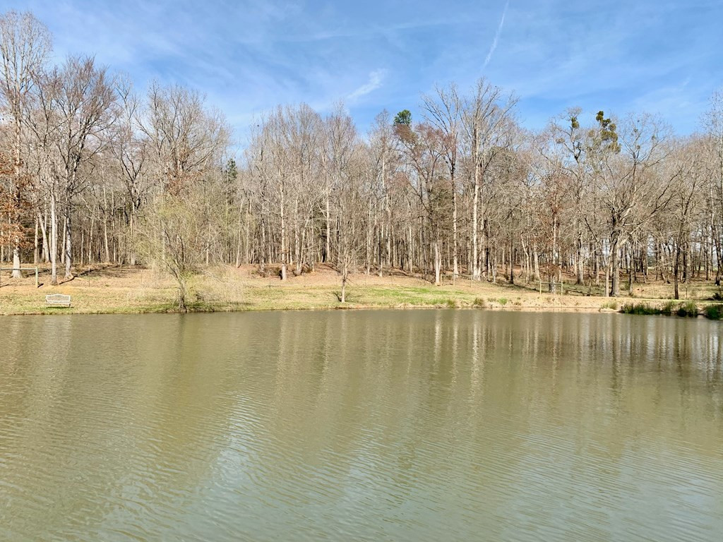 157 Wright Road Tignall, GA 30668 - Photo 25 of 54