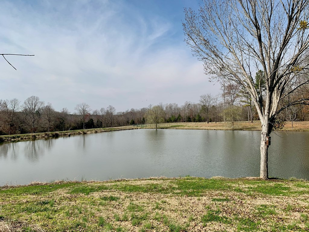 157 Wright Road Tignall, GA 30668 - Photo 26 of 54